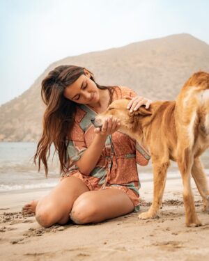 Delphine Wespiser Instagram - C’était au Cap Vert un peu avant Noël 
Rencontre inattendue sur la plage 🐚🐕 
#capeverde #caboverde