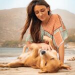Delphine Wespiser Instagram - C’était au Cap Vert un peu avant Noël Rencontre inattendue sur la plage 🐚🐕 #capeverde #caboverde