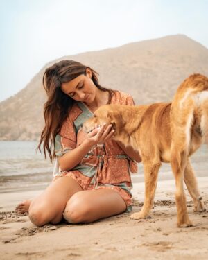 Delphine Wespiser Instagram - C’était au Cap Vert un peu avant Noël 
Rencontre inattendue sur la plage 🐚🐕 
#capeverde #caboverde