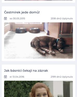 Denisa Nesvačilová Instagram - Zdravim vás z Afriky! Už se mi to krátí. Ještě bych tu byla, ale taky se strašně těším na Čestmírka. Projíždím jeho fotky a videa, když byl štěně. Aplikace Deniny mi ukazuje, že je to dneska 2 518 dní ode dne, kdy jsem si pro něj jela a začala naše společná jízda životem! 🥳 Za mě je to datum 30. 5. 2015 asi ještě důležitější, než jeho narozeniny. A stopro mu koupím k výročí nějakou laskominu. 😜 Díky aplikaci Deniny na žádné životně důležité datum nezapomenu. Navíc mě upozorní i na speciální události, jako je třeba 777 dní od první pusy s mužem, nebo čehokoliv, co si chci v paměti uchovávat. Aplikaci si můžete nainstalovat i vy na všech App storech nebo Google Play. Pojďme si do života pouštět radost, když je to v poslední době kolem nás jeden velkej průšvih. Ať žijou Deniny a slavíme jich co nejvíc.🥳🤍
#spolupráce #deniny #čestmíroviny #výročíseblíží