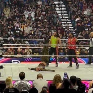 Denise Salcedo Instagram - LAST NIGHT WAS CRAZY AT AEW DOUBLE OR NOTHING!!! Here is a collection of photos and videos of some CRAZY moments! #aew #aewdon #allelitewrestling