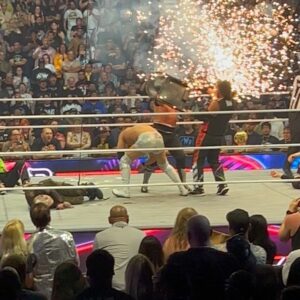 Denise Salcedo Instagram - LAST NIGHT WAS CRAZY AT AEW DOUBLE OR NOTHING!!! Here is a collection of photos and videos of some CRAZY moments! #aew #aewdon #allelitewrestling