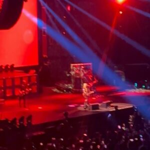 Denise Salcedo Instagram - I saw @avrillavigne in concert tonight with @frizzyybb !!!! I have slayed loved Avril’s music, she’s had such a cool career and getting to see her perform was awesome!!! I love her songs!! 🎸❤️🎤 tonight really took me back. A great night of music and dancing! 🎸🔥❤️🎤
