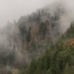 Deniz Barut Instagram - Çamlıhemşin, Fırtına Vadisi, Rize