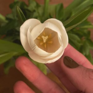Deniz Barut Instagram - Bile isteye sevmeyi seçtiğimiz ve bunun için emek harcadığımız her bir canlının yanımızda, yolumuzda güçlü ve özgür duruşunu seyretmek paha biçilemez olmalı. Nitekim sevme tanımlarımız, sevince yanan canlarımız, sevince katlandıklarımız diye bahsettiğimiz her bir zorluk sevmeyi bilmemekten mütevellit. Çektiğin her karın ağrısı sevince senin olsun istemenden, sevince sana benzesin istemenden, sevince sana uysun istemenden başlıyor. Sevmek öğrenilebilir, yeniden ve yeniden ve yeniden inşa edilebilir bir emek mücadelesi. Sevelim, bolca, özgürce… 
İyi ki doğdum…🪷