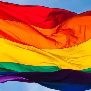 Devin Özgür Çınar Instagram - #LGBThaklarıinsanhaklarıdır. Bu bayrak dalgalanmaya devam edecek demek zorunda olmak bu devirde ne kadar ilkel gelse de daha ne kadar söylememiz gerekiyorsa söyleriz, bıkmayız, vazgeçmeyiz.