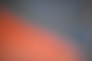 Devrim Lingnau Instagram - Test