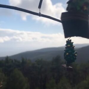 Devrim Lingnau Instagram - 