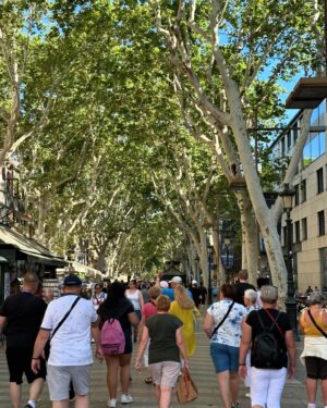 Diana Nyad Instagram - Greetings from Barcelona. Beautiful parks & gardens, pedestrians largely away from cars, little honking, much good naturedness on the streets….the Mediterranean fresh breeze in delicious play. A sexy vibe, as in evoking The Talented Mr Ripley. My buddy Candace and I covering all the hoods, along with muchas tapas!! 
#nyad #barcelona