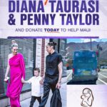 Diana Taurasi Instagram - We’re continuing to send our support and strength to Maui. Diana Taurasi and Penny Taylor are donating $10,000 to Healthy Mothers Healthy Babies, Coalition of Hawaii. Join us in supporting this mother focused organization. The opportunity to donate is in our bio 💜