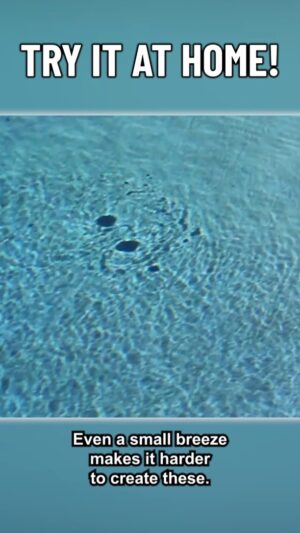 Dianna Cowern Instagram - Dianna's first viral video. "Crazy pool vortex" continues to be Physics Girl's most viewed video currently at 14 million views. The simplicity in this experiment makes it possible for you to try in any pool!

#pool #vortex #poolvortex #physicsgirl