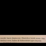 Dilara Aksüyek Instagram - Berfe çekti, ben de hepsini koydum 🤷‍♀️