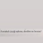 Dilara Aksüyek Instagram -