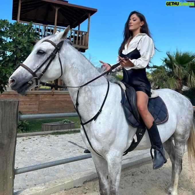 Dilara Büyükbayraktar Instagram - I finally found that white horse 🦄☘️