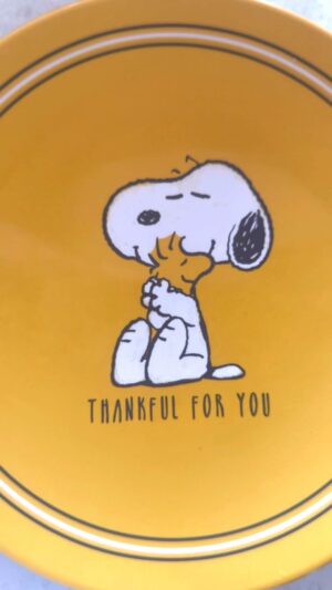 Dina Deleasa Instagram - I am so upset I forgot the popcorn this year but I love this little tradition. We started when Siena got into snoopy a couple years ago! I found the plate on sale from @potterybarnkids . Jellybeans, pretzels, popcorn and a slice of toast along with a cuddle on the couch before the big meal comes out! 

I hope you are enjoying the day with the ones you love 💕 I’m grateful for many things and I talk about it often. But just a little more grateful for you Alan’s all the support and prayers over time. 💕