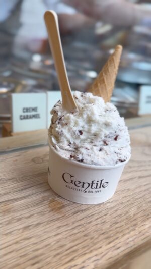 Dina Deleasa Instagram - Had a nice afternoon in the city this week celebrating Uncle Mikey! Someone felt like big girl getting gelato in the city and visiting her cool uncles bachelor pad!
The rest of us had a momentary flashback to our trip to Italy , watching Dad order one gelato after another.

Happy Birthday @deleasa we love you 😘 

#nyceats #nycicecream #thefamilythateats #goldenafternoon