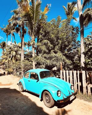 Dionne Stax Instagram - 🔋 in Mexico, Mexi-híííícóóóó
OLÉ!