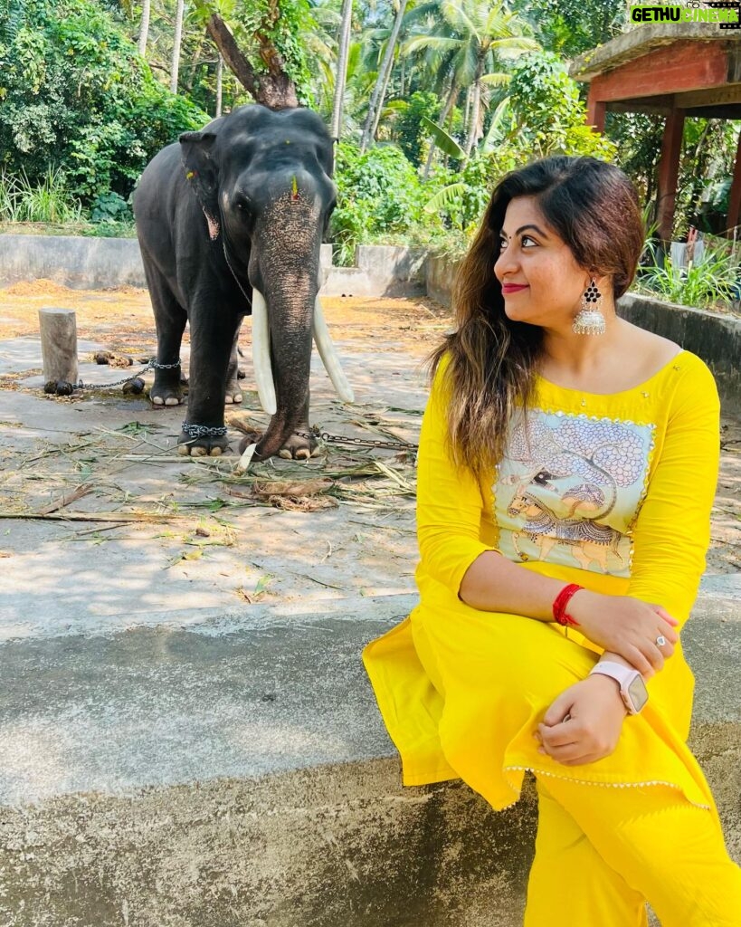 Divya Bharathi Vetrivel Instagram - Yannai❤️🐘 📸 @luks_by_nila ☺️ #elephant #elephantlove #keralagodsowncountry #instagood #nivashinidivya #nivashini_ma #frankapannuvom #animal #animallovers #keralaelephants #elephant🐘