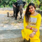 Divya Bharathi Vetrivel Instagram – Yannai❤️🐘

 📸 @luks_by_nila ☺️

#elephant #elephantlove #keralagodsowncountry #instagood #nivashinidivya #nivashini_ma #frankapannuvom #animal #animallovers #keralaelephants #elephant🐘