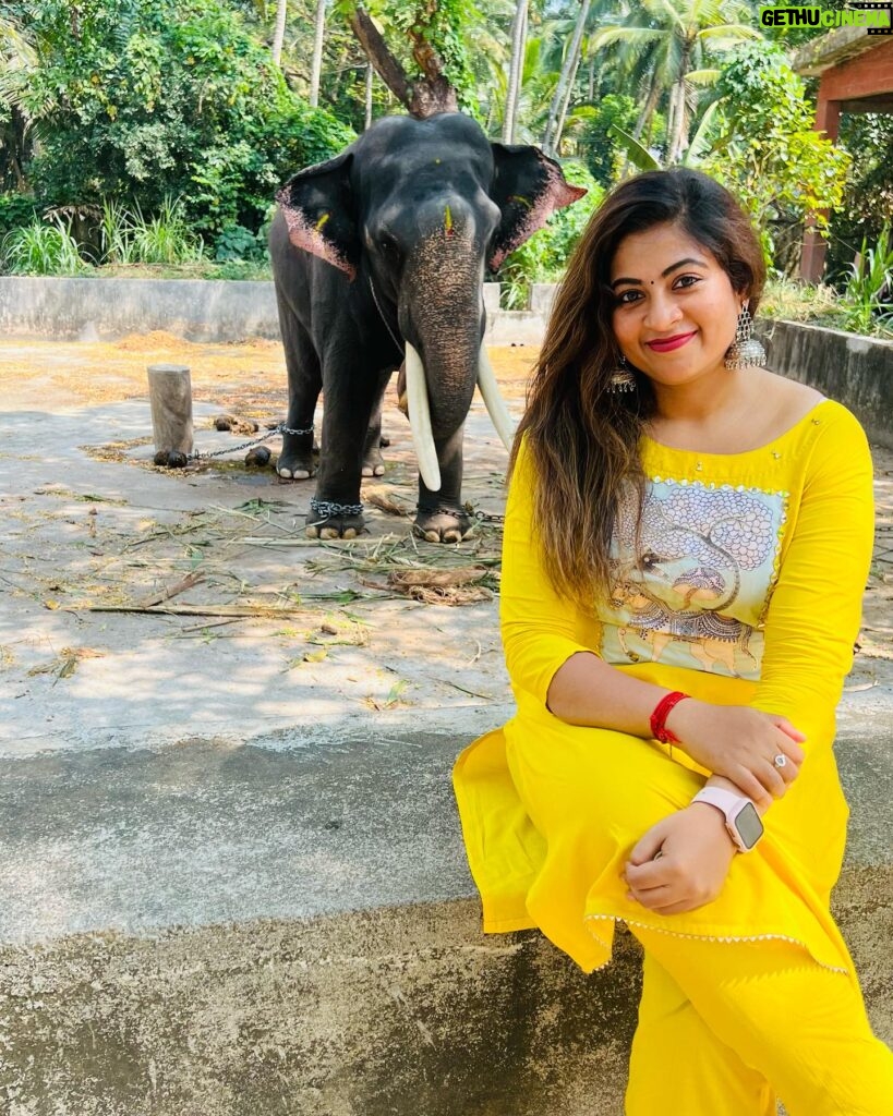 Divya Bharathi Vetrivel Instagram - Yannai❤️🐘 📸 @luks_by_nila ☺️ #elephant #elephantlove #keralagodsowncountry #instagood #nivashinidivya #nivashini_ma #frankapannuvom #animal #animallovers #keralaelephants #elephant🐘