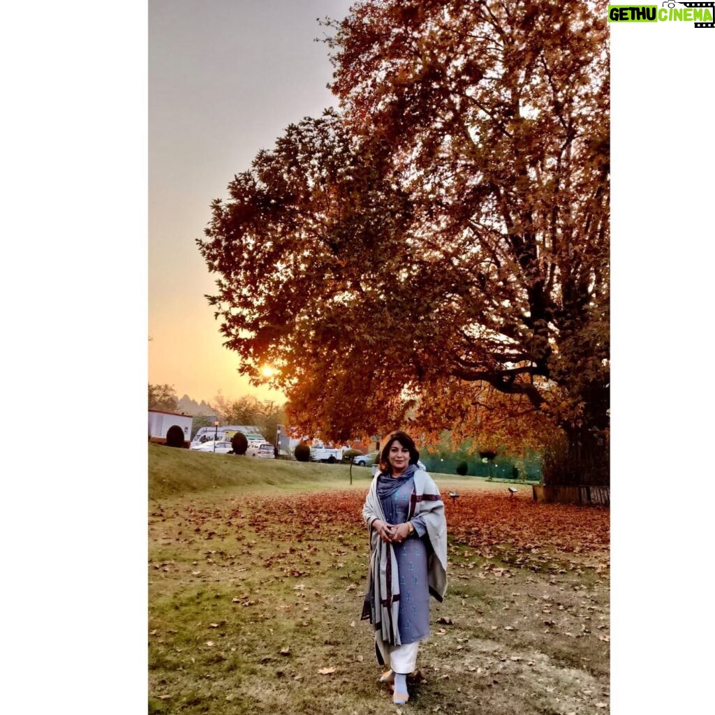 Divya Seth Shah Instagram - This Exquisite Land needs No Filter It’s Mountains, Trees , Lakes. Villages and Air All of the Gods ❤️ . . . #kashmir #india #🍁