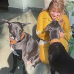 Divya Seth Shah Instagram - May Life Treat You Like You Treat Animals 🙌🏻 A Happy , Healthy 😄Home has Rescues They Rescue US! From Strangers/ Dangers/ Negativity!!!! Enjoy My Brood 😁 . . . #dogsofinstagram #dogs #dog #animal #rescue #indian #love #home #adoptdontshop #animalrights