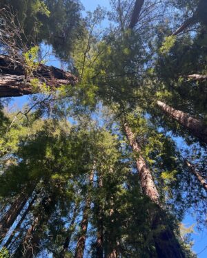 Dolly Alderton Instagram - It’s called “being in the flow of life”, look it up.