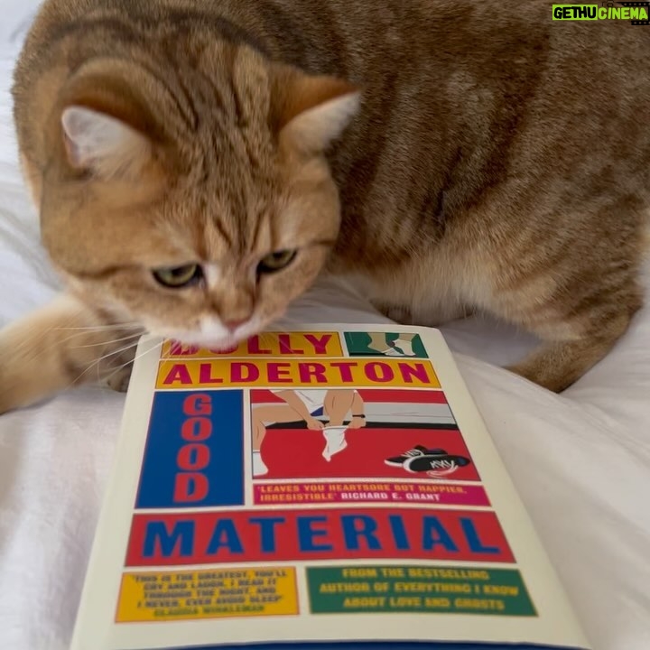 Dolly Alderton Instagram - 🇺🇸 Good Material is out in America today! 🇺🇸 And it is also the @barnesandnoble February book club pick! I hope you enjoy this very British romantic comedy about a very universal thing which is the humiliating, humbling experience of unrequited love, with all its tragedy, comedy and botched attempts at Keto. P.S I am slightly ashamed to say I am now hiding dreamies IN the book to try to get some cute promo content with my cat but as you can see she has, quite rightly, had it up to here.