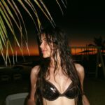 Dominique Alagia Instagram - it feels good to be at peace again