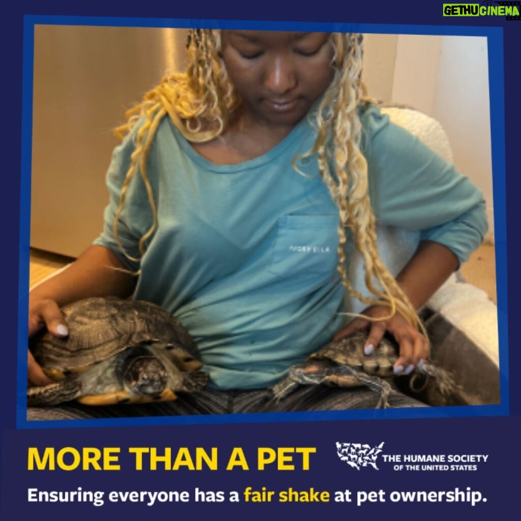 Donshea Hopkins Instagram - I'm joining the #MoreThanAPet campaign by sharing what my pet turtles Parker and Skipper mean to me 🐢 For every photo shared, a bowl of food gets donated to a pet in need. Join me and the #HumaneSociety and add your photo! 🤍 Link in bio to support