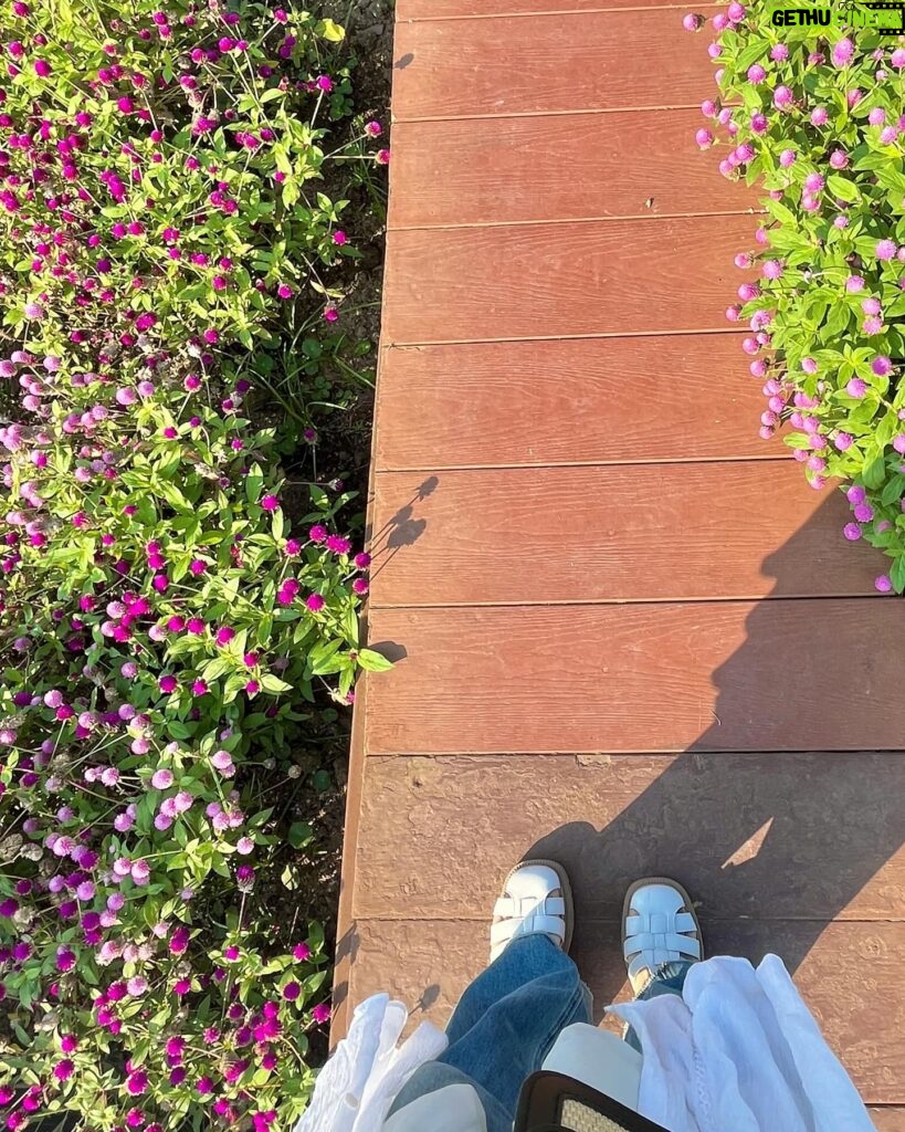 Dora Hsieh Instagram - 今天凌晨四點就起床 但看到了像是奇幻世界的景色 天空超像有魔法的 好讚 真的愛上清邁了啦💛💛 All: @no.11official