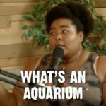 Dulcé Sloan Instagram - Is it just a wet museum. The hilarious @dulcesloan helps us and @danielvankirk figure it out on @dumbpeopletown Listen to the full episode where ever you get podcasts or watch it on YouTube.