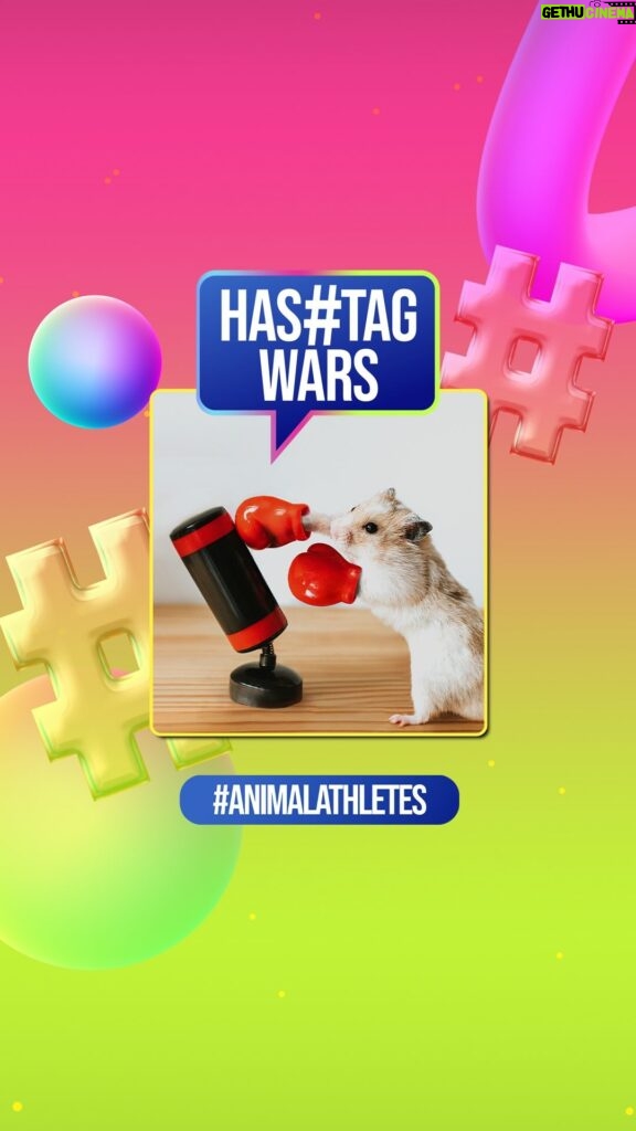 Dulcé Sloan Instagram - 🚨hashtag wars🚨 #AnimalAthletes go beast mode