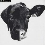 Duygu Yetiş Instagram -