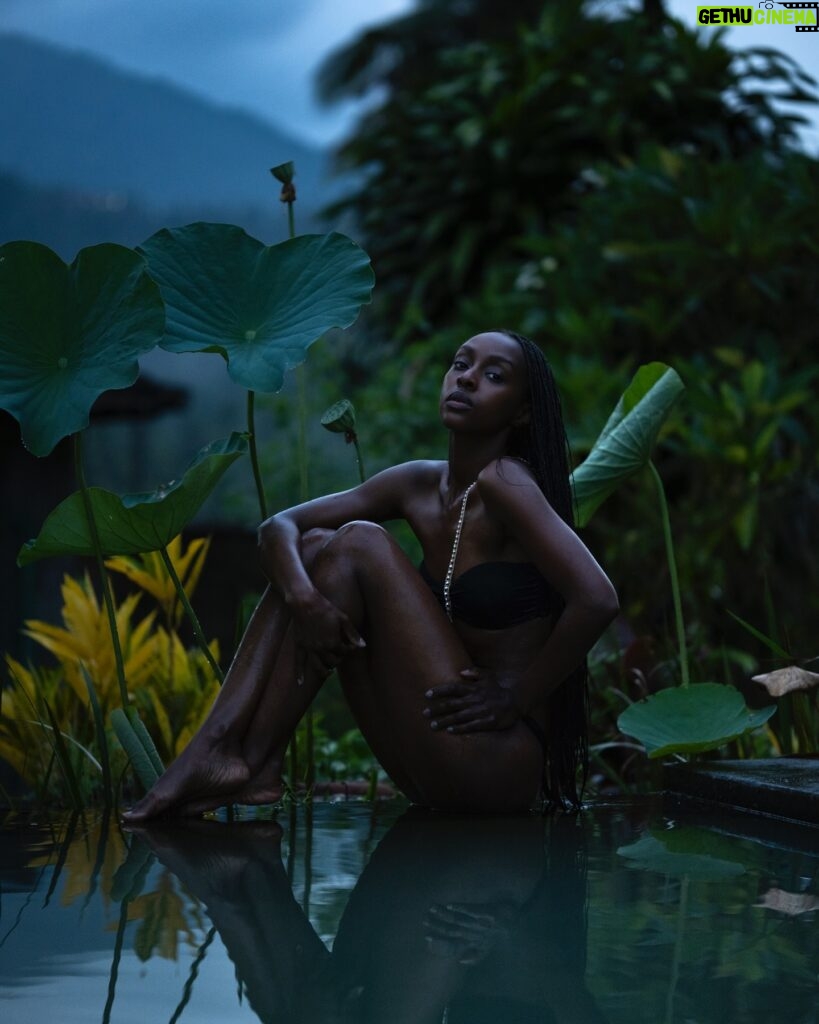 Ebony Obsidian Instagram - Garden of Ebony 🌱
