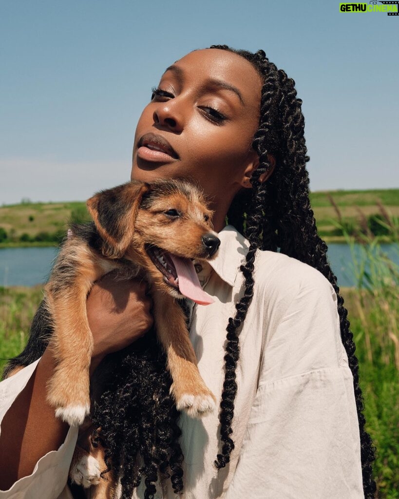 Ebony Obsidian Instagram - Animal Therapy 🐾