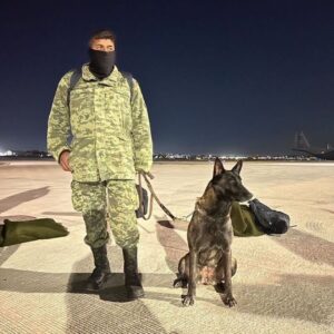 Ece Yörenç Instagram - Welcome and  THANK YOU guys❤️we need your new miracles ❤️ 🐕‍🦺🦮❤️❤️❤️❤️ GOOD LUCK❤️
 @weratedogs
•
Mexico's famous search and rescue dogs are currently flying to Turkey following the devastating earthquakes Monday morning. Their mission is to save lives. 14/10 for all. Our hearts are with everyone affected ❤️ 

You'll see members of the team sporting rescue gear with Frida on it. Frida was an absolute legend who gained international fame for her rescue work after the 2017 Mexico earthquakes. She located over 50 people during her long rescue career, and paved the way for one of the most impressive canine teams in the world.
(courtesy @marceloebrard2024 

@weratedogs'tan
 Meksika'nın ünlü arama kurtarma köpekleri, Pazartesi sabahı meydana gelen yıkıcı depremlerin ardından şu anda Türkiye'ye doğru yola çıktılar. Görevleri hayat kurtarmak❤️ Kalbimiz sizinle çocuklar❤️
Kurtarma ekibinin kıyafetlerinin üstünde efsane köpek “Frida”nın resmini görüyoruz. Frida, 2017 Meksika depremlerinden sonra kurtarma çalışmaları ile uluslararası üne kavuşan bir efsaneydi.  Uzun kurtarma kariyeri boyunca 50'den fazla kişinin yerini tespit etti ve dünyanın en etkileyici köpek ekiplerinden birinin yolunu açtı.