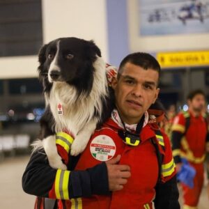 Ece Yörenç Instagram - Welcome and  THANK YOU guys❤️we need your new miracles ❤️ 🐕‍🦺🦮❤️❤️❤️❤️ GOOD LUCK❤️
 @weratedogs
•
Mexico's famous search and rescue dogs are currently flying to Turkey following the devastating earthquakes Monday morning. Their mission is to save lives. 14/10 for all. Our hearts are with everyone affected ❤️ 

You'll see members of the team sporting rescue gear with Frida on it. Frida was an absolute legend who gained international fame for her rescue work after the 2017 Mexico earthquakes. She located over 50 people during her long rescue career, and paved the way for one of the most impressive canine teams in the world.
(courtesy @marceloebrard2024 

@weratedogs'tan
 Meksika'nın ünlü arama kurtarma köpekleri, Pazartesi sabahı meydana gelen yıkıcı depremlerin ardından şu anda Türkiye'ye doğru yola çıktılar. Görevleri hayat kurtarmak❤️ Kalbimiz sizinle çocuklar❤️
Kurtarma ekibinin kıyafetlerinin üstünde efsane köpek “Frida”nın resmini görüyoruz. Frida, 2017 Meksika depremlerinden sonra kurtarma çalışmaları ile uluslararası üne kavuşan bir efsaneydi.  Uzun kurtarma kariyeri boyunca 50'den fazla kişinin yerini tespit etti ve dünyanın en etkileyici köpek ekiplerinden birinin yolunu açtı.