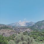 Ece Çeşmioğlu Instagram -