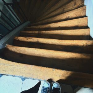 Elísabet Benavent Instagram - Mis últimas fotos con el pelo verde. Últimos días en París. Paseos, Jules Verne, tiendas, suelos y un codo roto.
Vuelta a Madrid y la paz del hogar que se intensifica un domingo por la tarde.