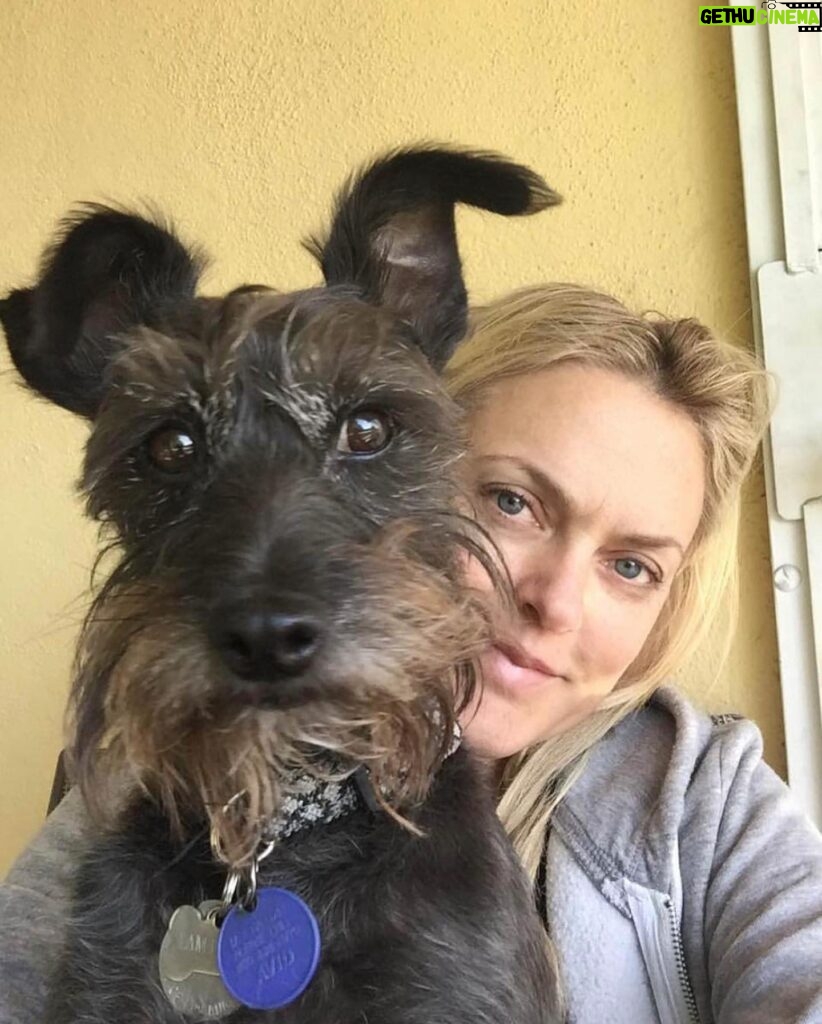 Elaine Hendrix Instagram - One of my besties lost his bestie one week ago today - suddenly & unexpectedly. My friend @chris.sergi found this dog abandoned in a parking lot and I convinced Chris to keep him, which wasn’t hard to do. #Marvin 🖤 For over 11 years they were inseparable. These two, along with me & my crew, had sooooo many adventures together. I loved Marvin like my own. Please help me send some love & peace to Chris, especially if you know what it’s like to lose your fur child. RIP Marvin #rescuedog #adoptdontshop