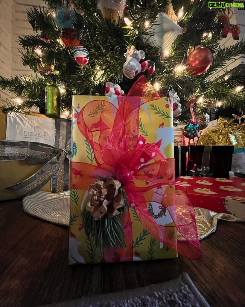 Elaine Hendrix Instagram - Merry Christmas from our little crazy, cozy world to you & yours. Wishing you peace, ease, contentment & gentleness. Tis’ the season for all that is tender & light. 🎄🎁😘