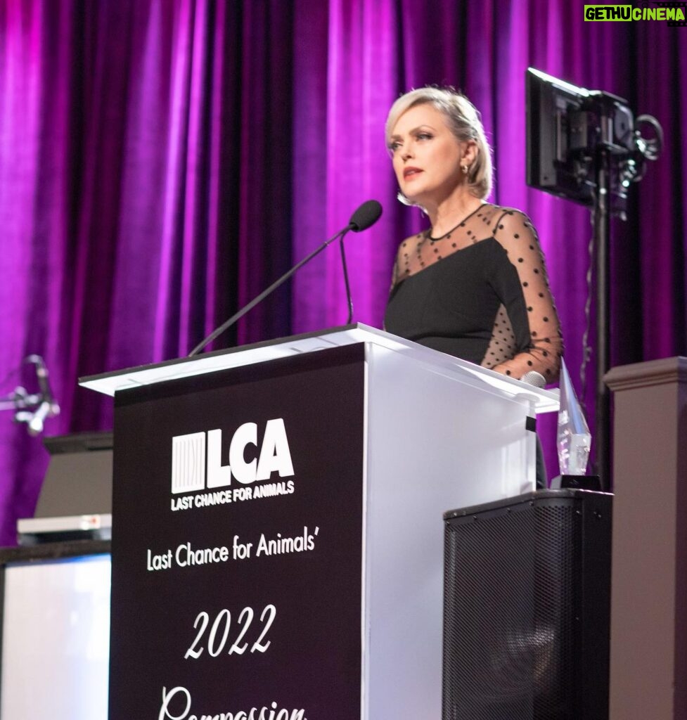 Elaine Hendrix Instagram - It was my deepest honor to receive the 2022 Celebrity Activist Award from @lc4a. Anyone who knows me knows animals are my life. I fight for their voices, their respect and their lives ever single day. They are so worthy of our attention. I AM AN ANIMAL RIGHTS ACTIVIST. So many of my beautiful, amazing friends came out and I didn’t take pictures. It was an emotional, overwhelming evening for me. But I love them all dearly. Photos by; @frncscamaria • Amanda Edwards • John Collazos; Dress: @stellamccartney (via @arinburke); Hair: @dvohair