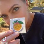Elaine Hendrix Instagram – 🗳 VOTE 🗳 ❤️🤍💙🌊 #vote