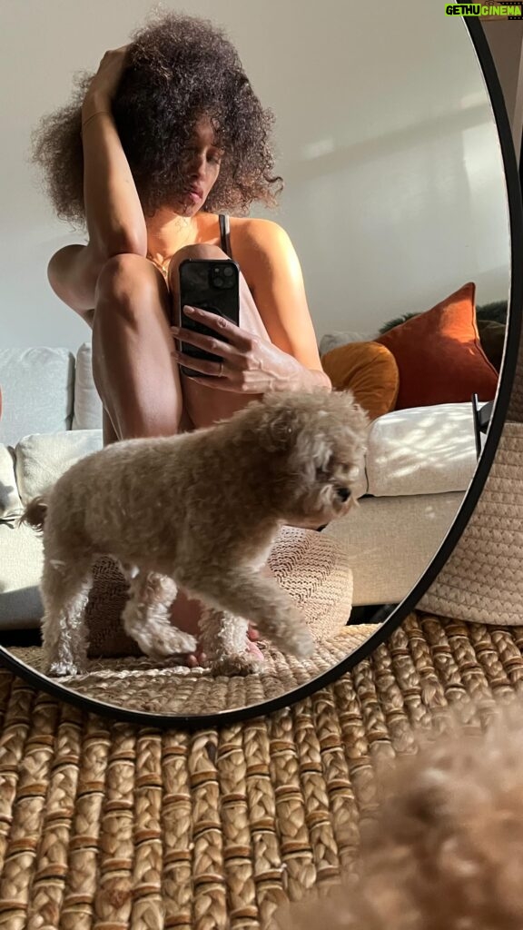 Elarica Johnson Instagram - This doggie boy🙈 Sometimes, he acts like a sugar rushed toddler. Sometimes, he gets on my nerves👀 Sometimes, I wonder what I would do without him. Best decision I ever made🐾 #doggie #myboy #dogsofinstagram #maltipoo #puppy #love #reelsinstagram #animallovers