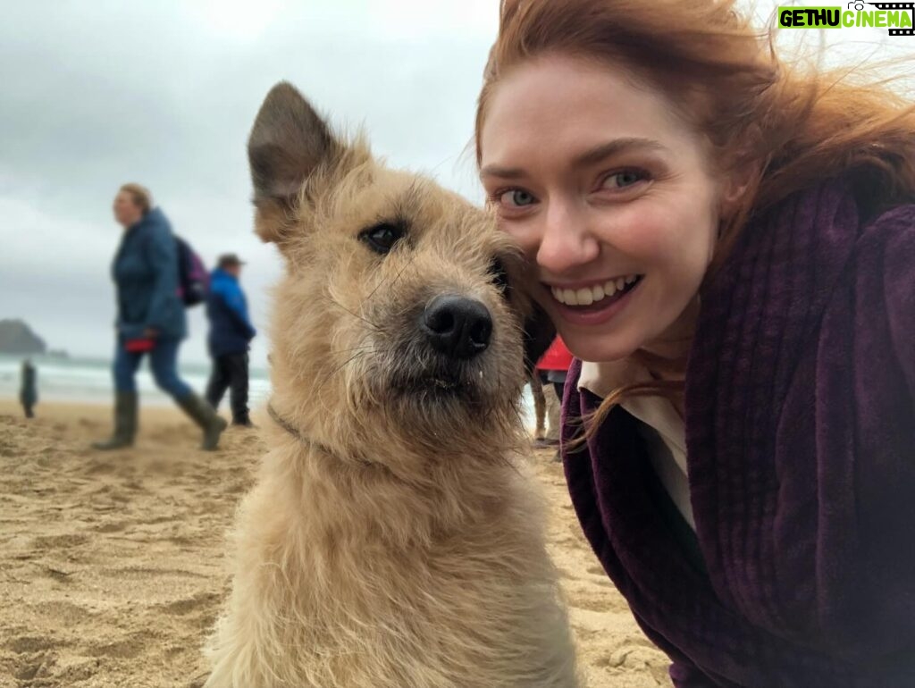 Eleanor Tomlinson Instagram - More than a few tears shed today on hearing that my all time favourite co-star, Barley, has crossed over that rainbow bridge. The Garrick to my Demelza. Barley, you’ve left a mighty paw print on my heart 🐾 Love to the best stunt dogs team @stuntdogsandanimals_ig ♥️ @official_poldark #adoptdontshop