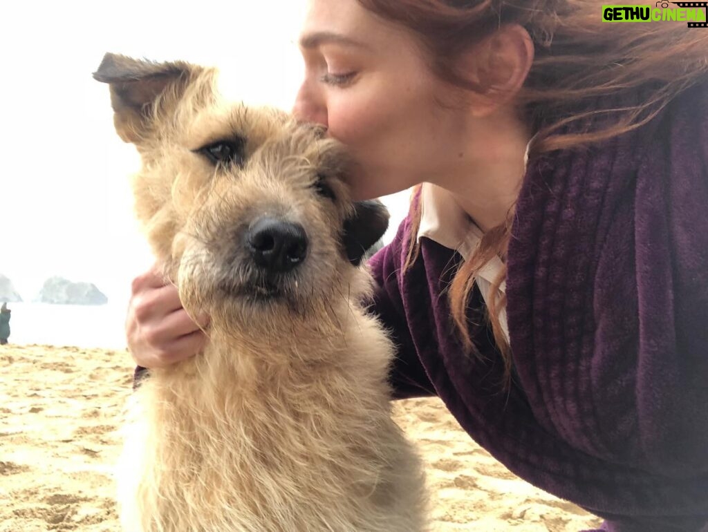 Eleanor Tomlinson Instagram - More than a few tears shed today on hearing that my all time favourite co-star, Barley, has crossed over that rainbow bridge. The Garrick to my Demelza. Barley, you’ve left a mighty paw print on my heart 🐾 Love to the best stunt dogs team @stuntdogsandanimals_ig ♥️ @official_poldark #adoptdontshop