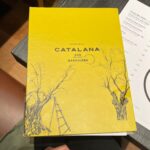 Elena Asimakopoulou Instagram - Once in Barcelona…. #memories #mysummer #beautifulmoments #traveling #enjoythelife #lovemylife #lovetraveling