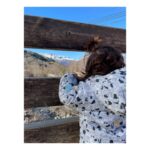 Elena Furiase Instagram - Este fin de semana ha sido la primera vez de muchos… la primera vez de Noah en la montaña, la primera vez de Nala en la nieve, mi primera vez en un ambiente de esquí, la primera vez de Gonzalo esquiando con hijos…😅 y por supuesto no podíamos dejar de visitar a la “Pilarica” porque sin ser yo muy devota de vírgenes y santos, esta es especial… al menos para nosotros. Además nada me gusta más arquitectónicamente que una basílica, iglesia, o catedral…¡Qué suerte de familia la que me ha tocado…! 1.Nala observando el agua, que es lo que MÁS le gusta😂 y yo enloquecida con la montaña del fondo. 2. Noah y Papá… “snowrules” 🤙🏽 3.Por mucha nieve que hubiese… donde haya unas buenas piedras…🤔 media hora estuvimos tirando piedritas 4. Preparado, listo…? 5 y 6. Noah en plena acción siempre bajo la mirada de su “palino” @mielsierra y toda la retaguardia familiar que llevaba detrás 🫡 7. Unas buenas migas, “pa ellos” por qué a mí mucho… no me gustan..☹️ 8. La guinda del pastel! #familytrip