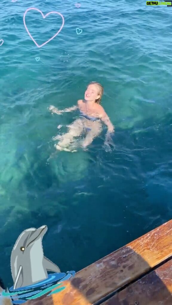 Elena Kampouris Instagram - In my element🐬🌊💙🌊🐬 δελφίνι δελφινάκι the Greek waters always soothe me & make me want to sing!🎶When do you feel in your element?✨✨ #sea #happy #heart #Greece #girl #mood #home #beautiful #blue #summer #fun #love #smile #music #life #live #lifestyle #world #swim #travel #beach #inspiration #health #instagood #dance #sun #vibes #motivation #instadaily #explorepage